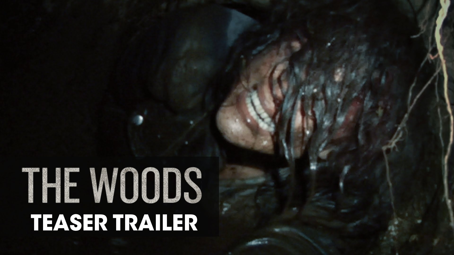 The Woods (2016 Movie) – Official Teaser Trailer