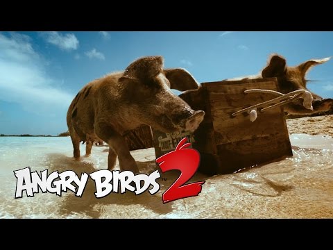 Angry Birds 2: Angry Is Back - Teaser 2